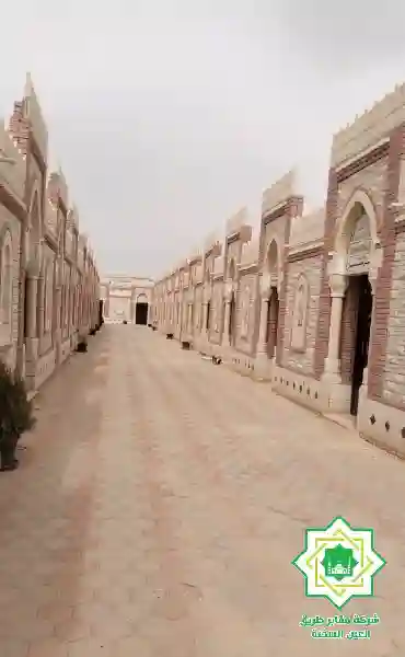 مقابر صندوق صاد بتخطيط منظم ومدافن مرتبة داخل منطقة مخصصة للدفن